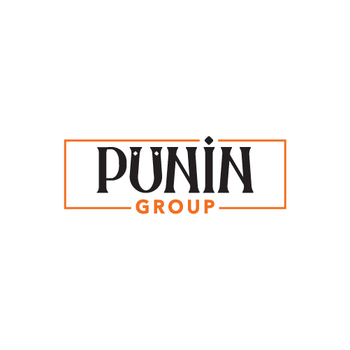 Punin Group
